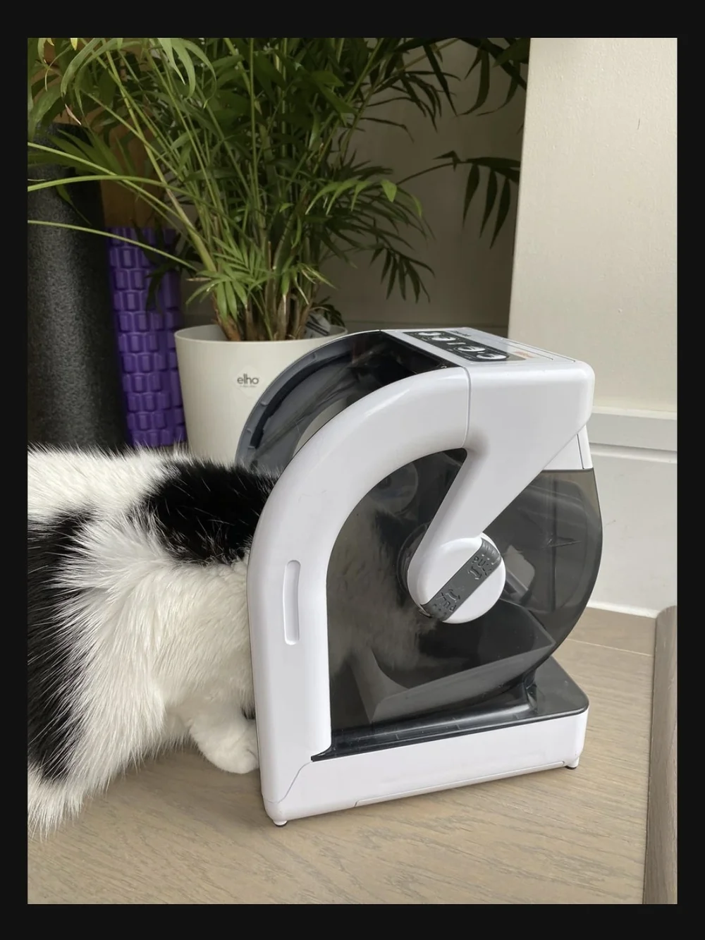 Closerpets Mibowl Microchip Cat And Small Dog Feeder